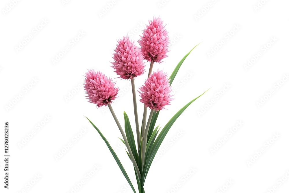 Soft Pink Flower Bloom: A Delicate Pile of Fluffy, Rendered Petals, Perfect for Springtime Designs, Feminine Branding, Wedding Invitations, Greeting Cards, and Textile Prints. Ideal for adding a touch Soft Pink Flower Bloom: A Delicate Pile of Fluffy, Rendered Petals, Perfect for Springtime Designs, Feminine Branding, Wedding Invitations, Greeting Cards, and Textile Prints. Ideal for adding a touch