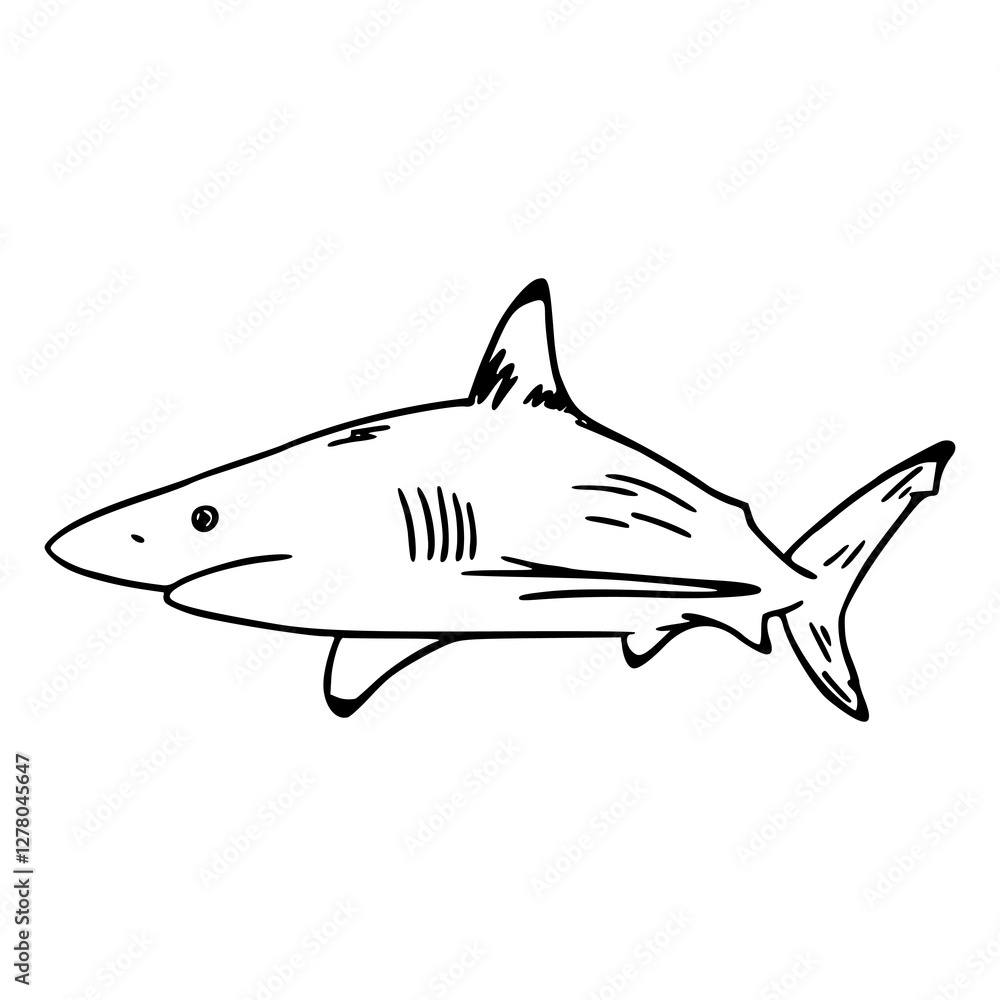 Obraz premium a line art drawing of a shark fish for coloring pages