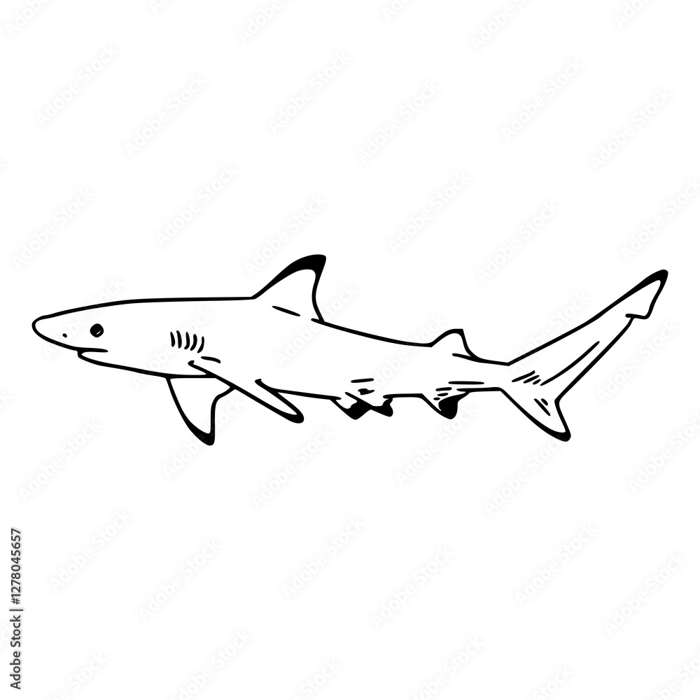 Fototapeta premium a line art drawing of a shark fish for coloring pages
