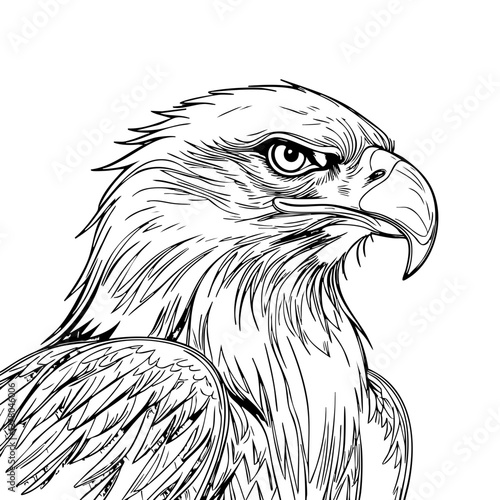 Majestic Eagle Line Art – Powerful Bird of Prey Sketch