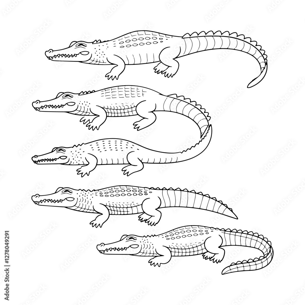 Fototapeta premium Alligator and Crocodile Illustrations
