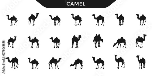 A collection of  camel silhouettes in various poses. Ideal for wildlife and desert-themed designs.