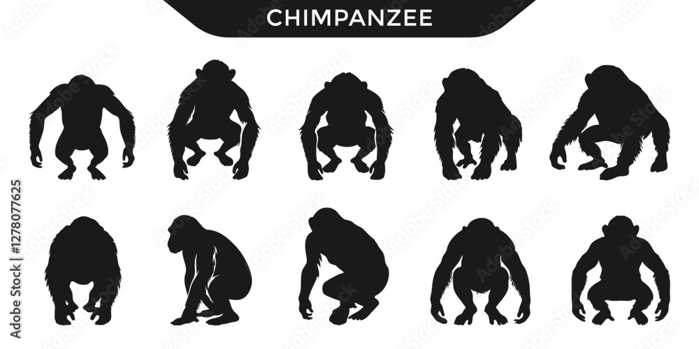 Obraz premium Silhouettes of chimpanzees in various poses