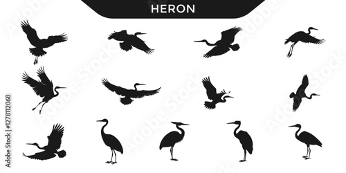 Vector illustration of heron silhouettes in various poses.