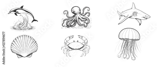 Pictures of sea animals for a children's coloring book
