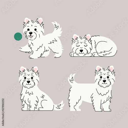 West Highland White Terrier Vector Illustration Four Poses of a Cute Westie Dog, Playing, Sitting, Sleeping, and Standing in a Minimalist Flat Design. Vector illustration