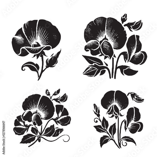 Detailed Vector Art Featuring the Sweet Pea Flower Silhouette Isolated on White Background"