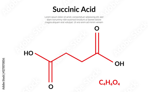 Succinic acid molecular structure formula, suitable for education or chemistry science content. Vector illustration