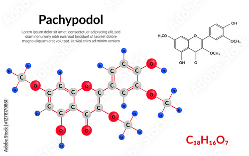 Pachypodol plant flavonol, molecular structure formula, ball-and-stick model, suitable for education or chemistry science content. Vector illustration