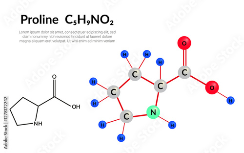 Proline (symbol Pro or P) C5H9NO2 amino acid, molecular structural chemical formula, ball-and-stick model, suitable for education or chemistry science content. Vector illustration