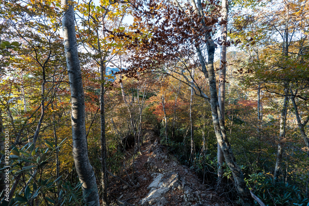 Obraz premium Kunishigatake, Koubushigatake and surrounding views