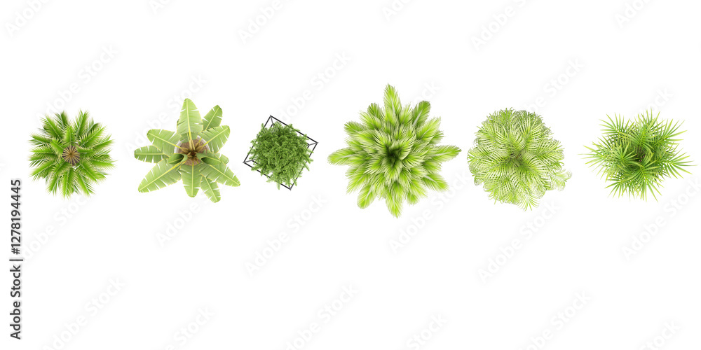 Fototapeta premium green grass isolated on white