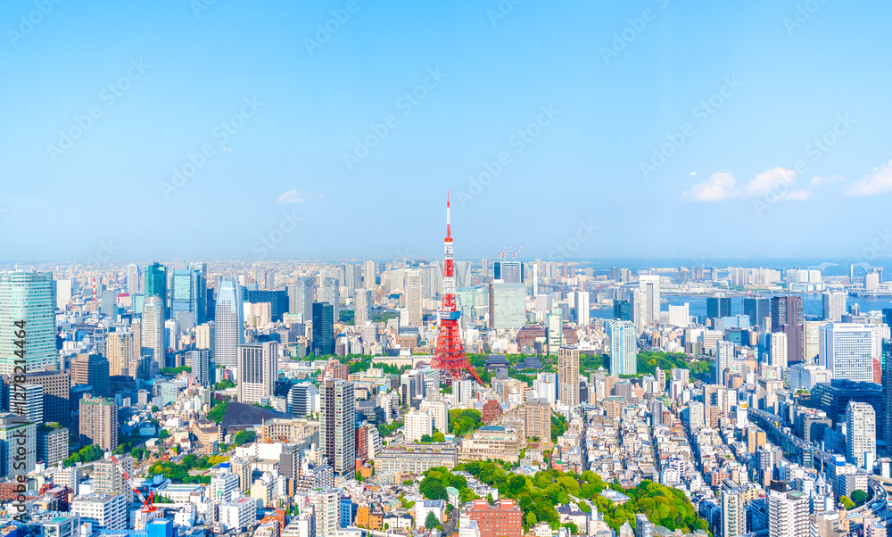 panoramic, tourist attractions in the city park of Tokyo, Asia business concept image, panoramic modern cityscape building in Japan. panoramic, tourist attractions in the city park of Tokyo, Asia business concept image, panoramic modern cityscape building in Japan.