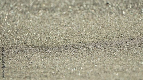 Wallpaper Mural Sand Beach Texture Closeup Torontodigital.ca