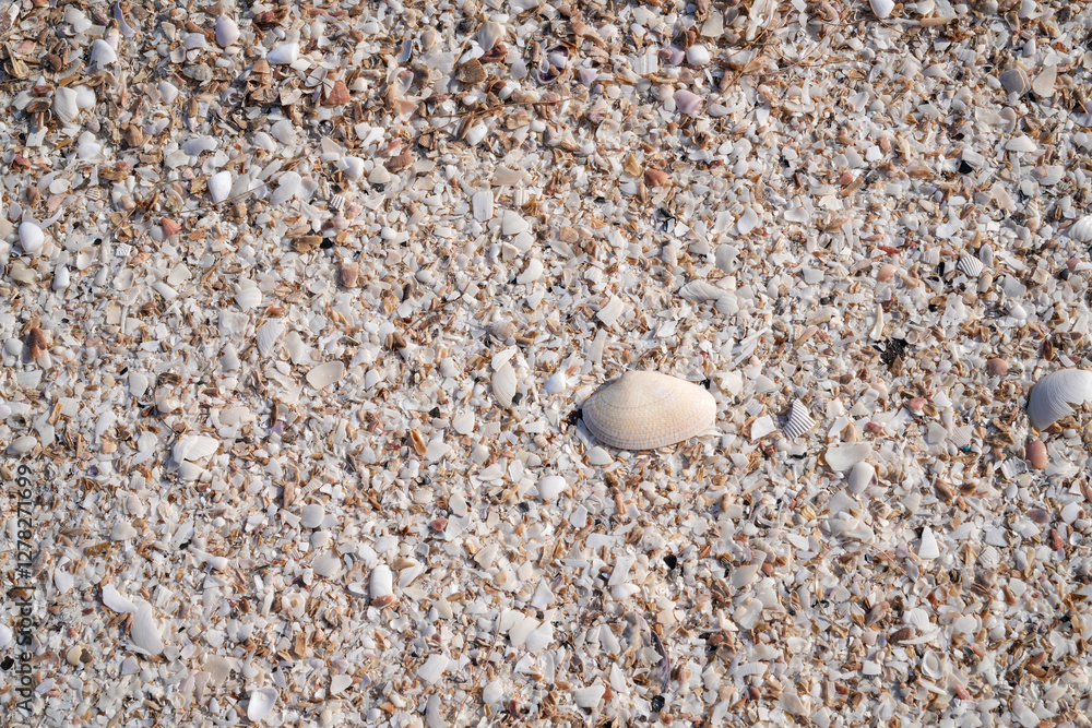 Sandy beach at low tide for background image. Sandy beach at low tide for background image.