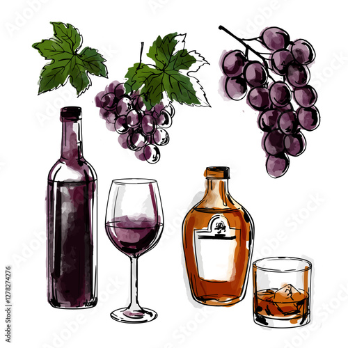 Sketch ink line watercolor food. Bottle of wine, glass of wine, bisque, glass of whiskey, grapes