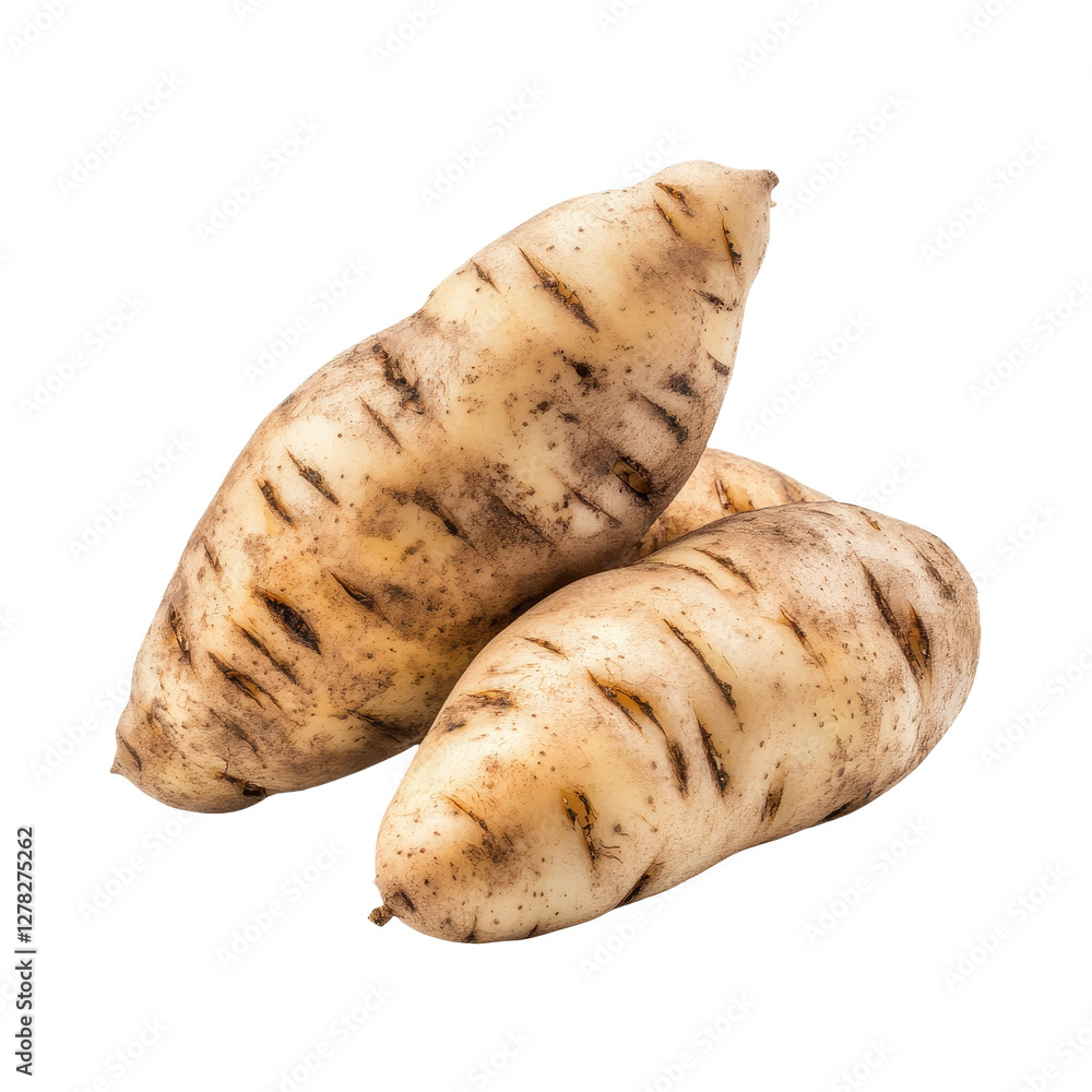 Fresh, Nutritious Potatoes - A Healthy Food Choice Fresh, Nutritious Potatoes - A Healthy Food Choice