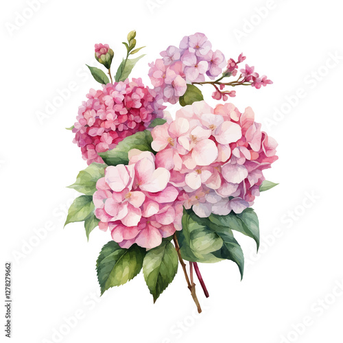 Watercolor of a hydrangea flower with leaves isolated on a white background