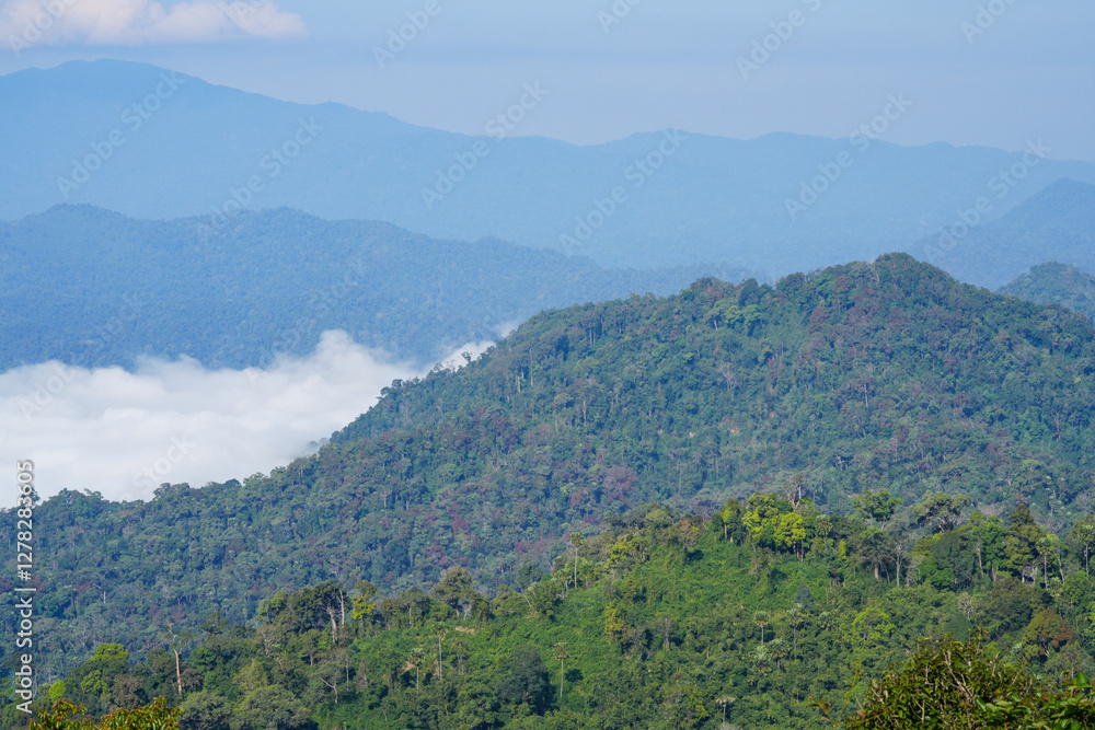 View of trees, mountains and clouds in the sky in Kaeng Krachan National Park, Thailand. View of trees, mountains and clouds in the sky in Kaeng Krachan National Park, Thailand.