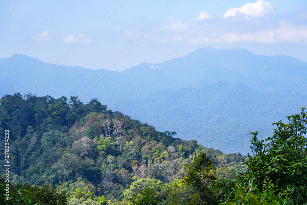 View of trees, mountains and clouds in the sky in Kaeng Krachan National Park, Thailand. View of trees, mountains and clouds in the sky in Kaeng Krachan National Park, Thailand.