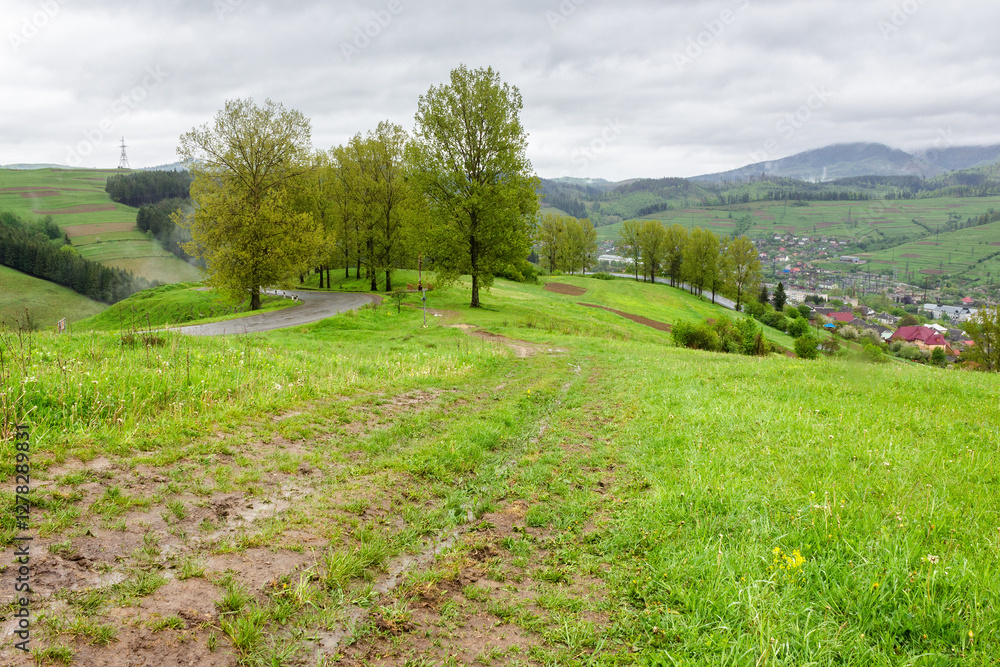countryside scenery of ukraine in spring. cloudy weather. carpathian mountain landscape with grassy hills and meadows, forested slopes and town in the valley. volovets district