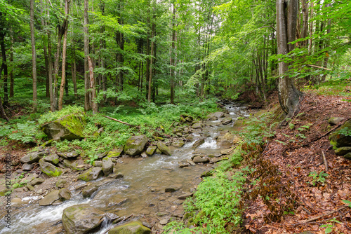 Obraz na płótnie water stream in the beech forest among rocks. outdoor scenery in summer on a sunny day. beauty of carpathian nature w salonie