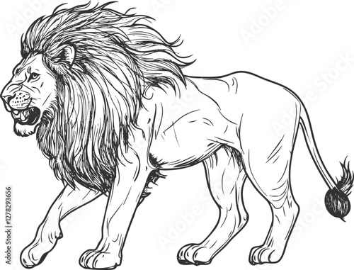 Black and white sketch of a lion with a detailed mane. photo