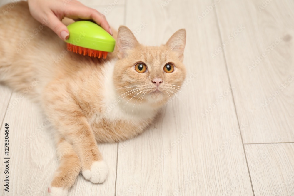Woman brushing cat's hair on floor, closeup with space for text. Pet grooming