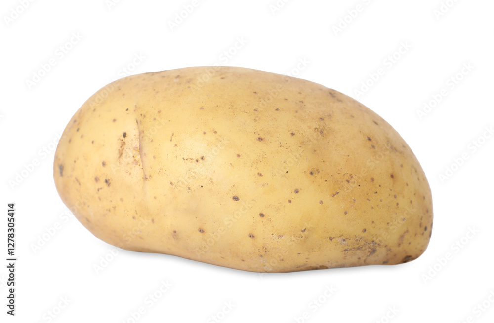 Fresh raw potato isolated on white. Vegetable root Fresh raw potato isolated on white. Vegetable root