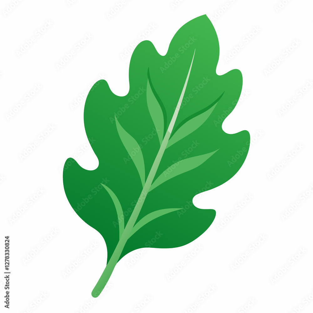 arugula leaf arugula leaf