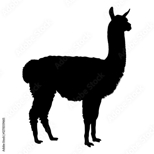 Silhouette of an alpaca, with its long neck and fluffy body, standing in profile, representing the gentle nature and uniqueness of alpacas as domesticated animals