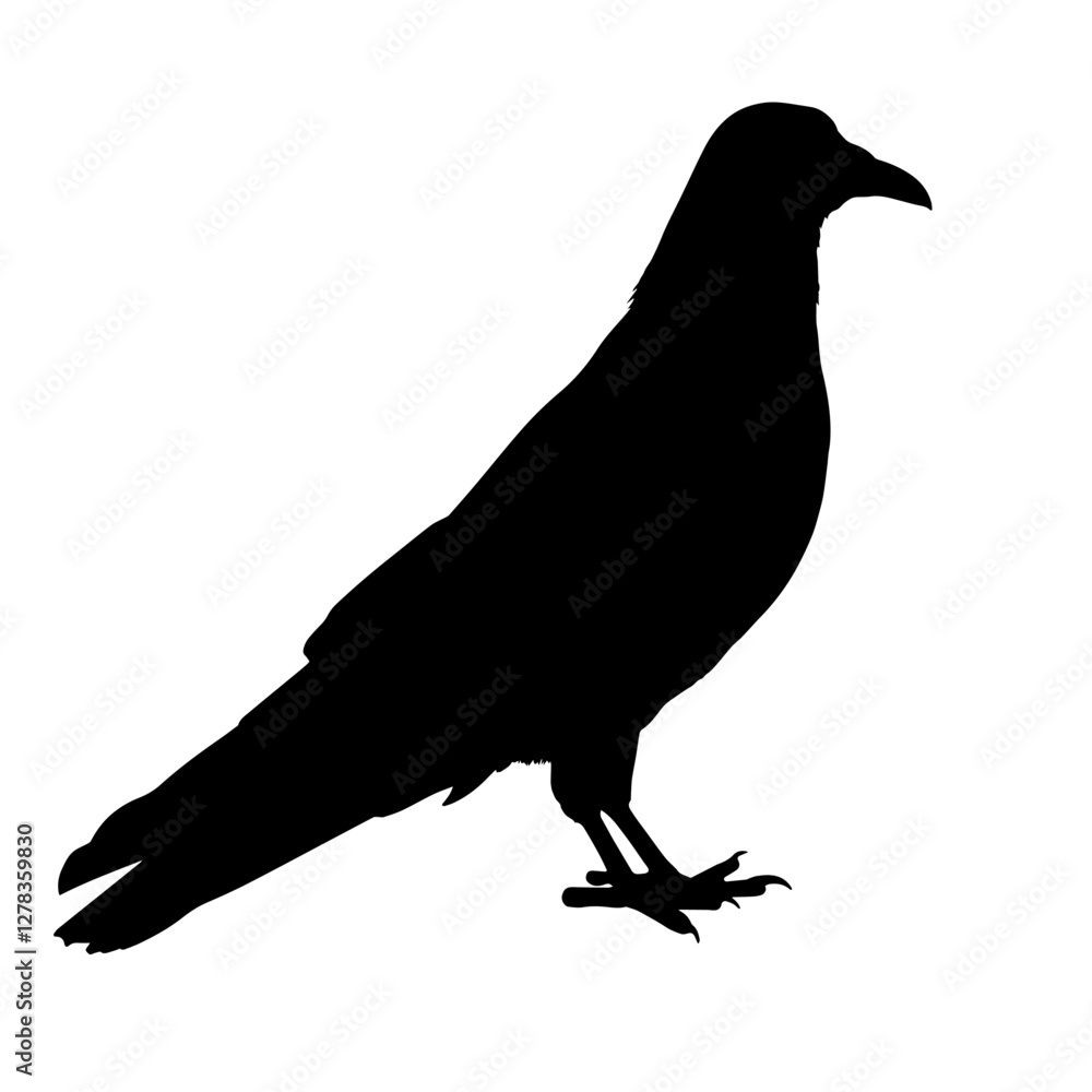 Obraz premium Silhouette of a raven standing on the ground, its head facing forward, with its characteristic beak and tail visible, representing the mysterious and intelligent nature of this bird species.
