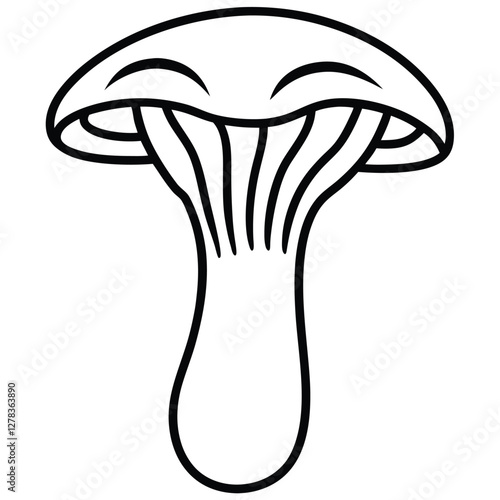 vector illustration of mushrooms