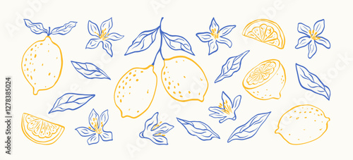 Hand drawn lemon fruits with leaves and flowers. Minimalist line art. Citrus tropical fruits. Italian style. Summer design for pattern, poster, card, cover. Vector modern botanical illustration.