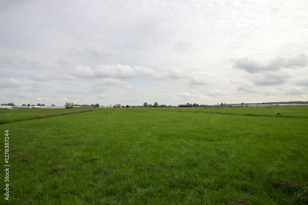 Meadows of the Zuidplaspolder in Nieuwerkerk aan den IJssel Meadows of the Zuidplaspolder in Nieuwerkerk aan den IJssel
