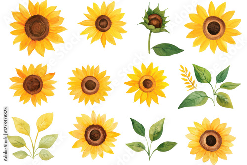 watercolor sunflower