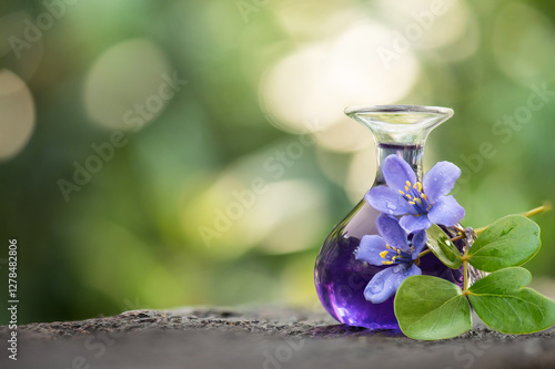 Lignum vitae. or Guaiacum officinale flowers and perfume on natural background. photo