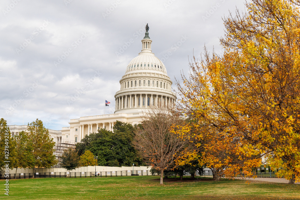 Naklejka premium The U.S. Capitol in Washington, D.C., surrounded by vibrant autumn foliage