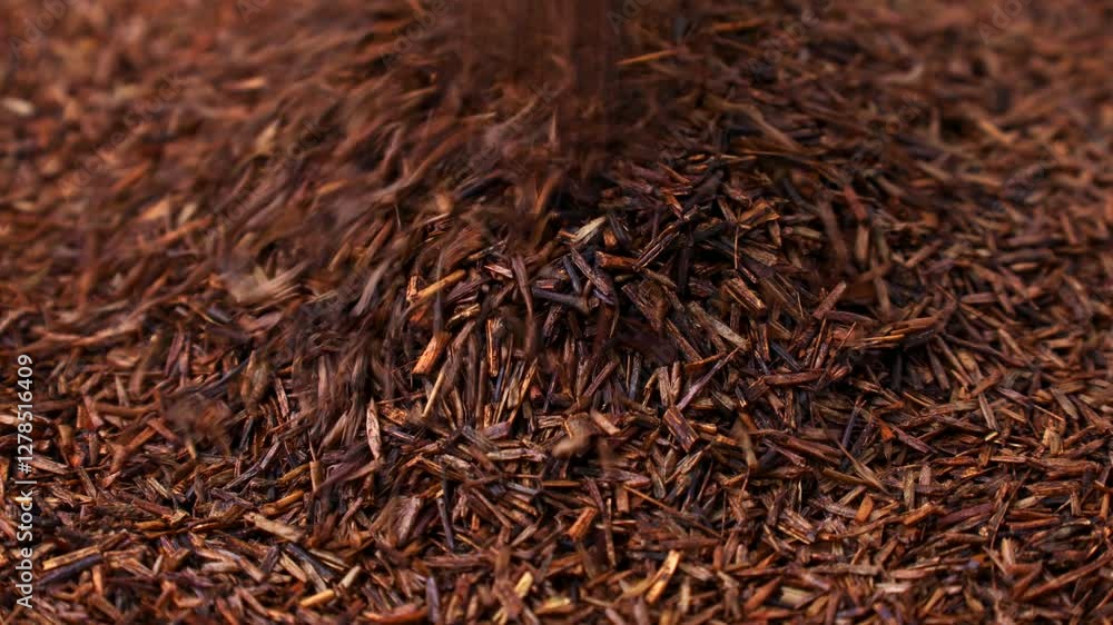 Rooibos tea dried leaves falling down close up Rooibos tea dried leaves falling down close up