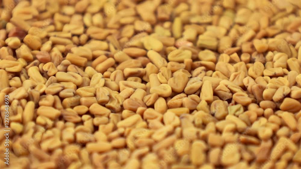 Dry yellow fenugreek seeds texture circle rotation close up Dry yellow fenugreek seeds texture circle rotation close up