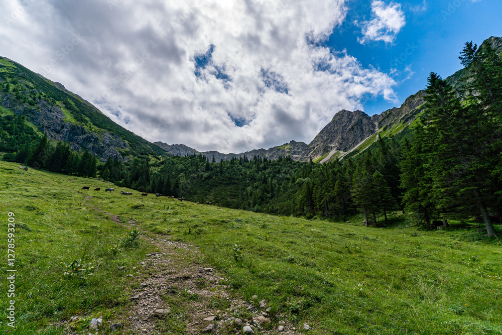 Fototapeta premium Mountain landscape view with hiking path in Allgau region of Bavaria Germany