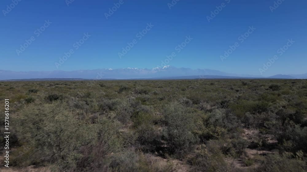 Mendoza Desert Mendoza Desert