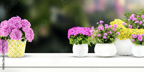 Vibrant Flower Pot Illustra...