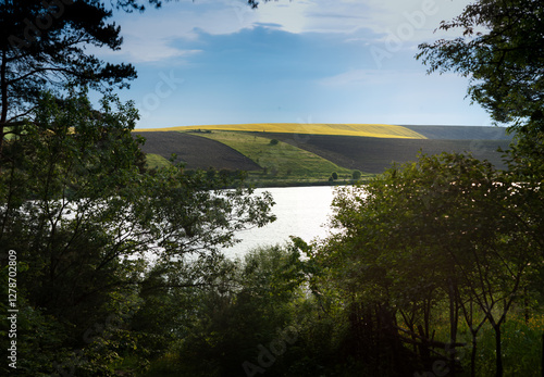 view of reservoir, hills with fields of sunflowers and lush greenery under a ...
