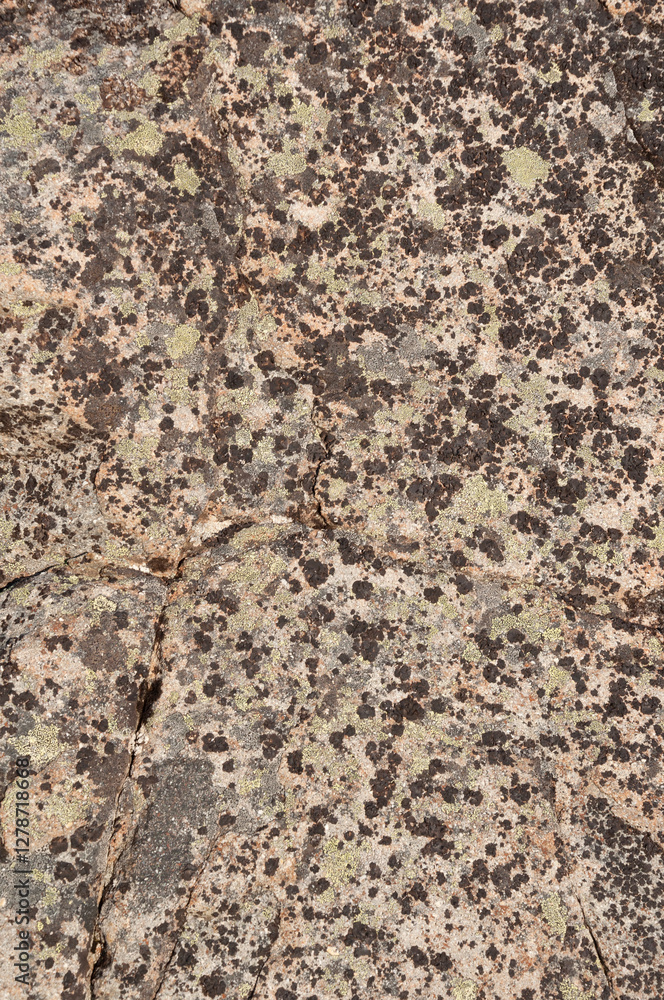 Closeup of brown rock texture in tundra Closeup of brown rock texture in tundra
