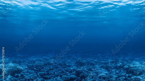 Ocean Floor Background Imag...