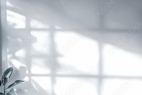 White Wall Background with ...