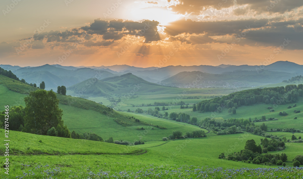 Fototapeta premium Evening rural landscape, the setting sun, sunset, meadows and hills 