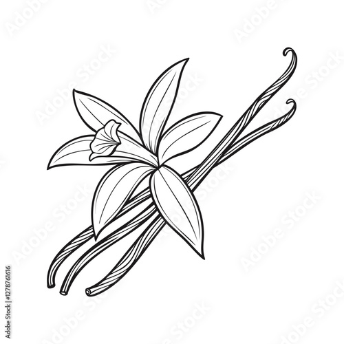 White Vanilla Flower with Sticks PNG Clipart Vector Illustration