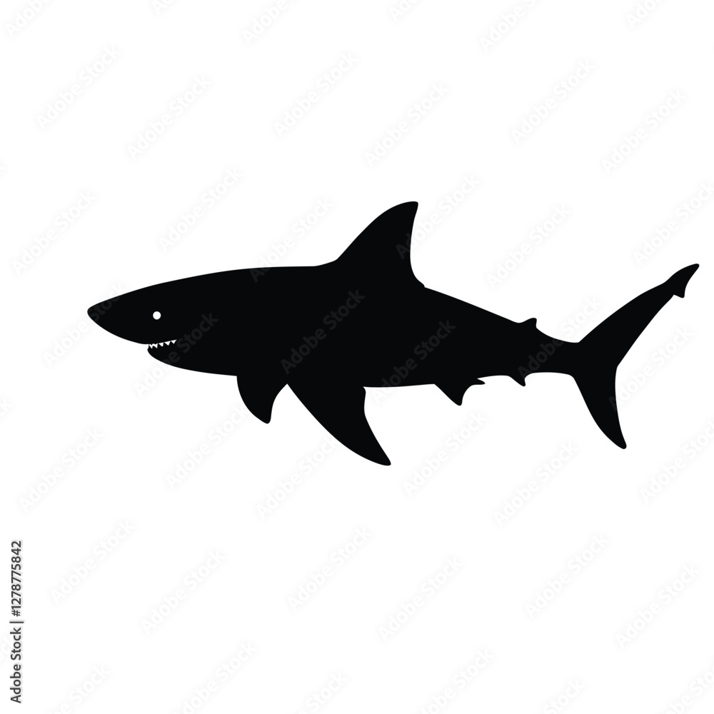 shark vector illustration shark vector illustration